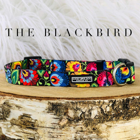 Lucky Love Dog Collars, Vivid Floral Design for Large Female Dogs, Blackbird, Large