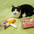 2X Pet Hair Removal Set for Couch - Cat Hair Remover Brush Cleaner Tool & Hair Scraper for Carpet