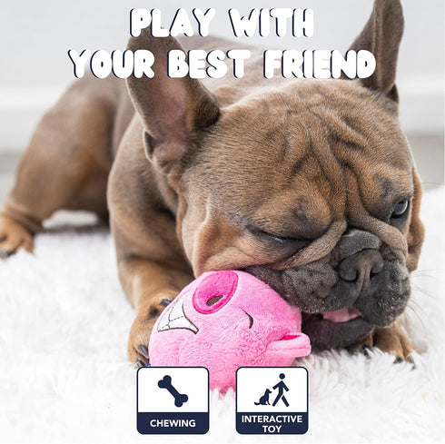 Dog Toys for Aggressive Chewers, Squeaky Interactive Toys for Medium, Large & Small Breeds