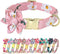 Beirui Cute Girl Dog Collars, Floral Patterns for Small Medium Large Dogs, Wedding Holiday (L: Neck 17-25", Pink)