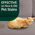 (32 oz 1 Simple Green Cat Stain & Odor Remover - Enzyme Cleaner for Cat Urine, Feces, Blood, Vomit Sprayer & gallon