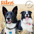 8 oz (Pack 2) Riley's Pill Wrap for Dogs - Delicious Peanut Butter Flavored Pill Paste for Dogs - Wrap Pills, Capsules