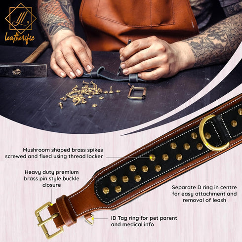 Spike Dog Collar | Spiky Series | Premium Genuine Bridle Leather, Heavy Duty, Padded for Medium, Large, XL Breeds