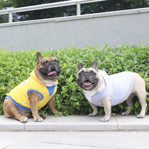 iChoue 100% Breathable Cotton Dog Hoodies for French Bulldog, Sweatshirts for Medium Dogs, Grey, Large Plus