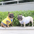 iChoue 100% Breathable Cotton Dog Hoodies for French Bulldog, Sweatshirts for Medium Dogs, Grey, Large Plus