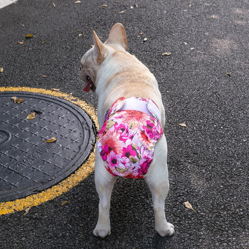 3 Pack WWD02XS CuteBone Washable Dog Diapers Female No Tail Hole Reusable Doggie Period Training Pants for Docked-Tail