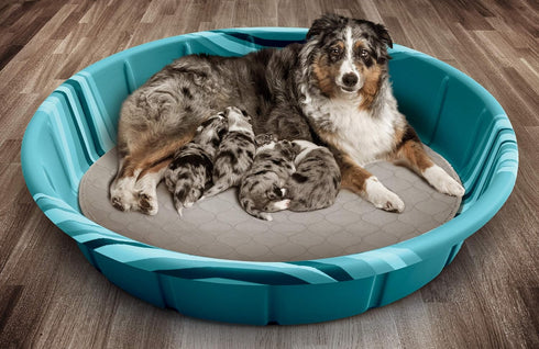 Pet Parents Washable Round Whelping Pads (2 Pack) of 36" Circle, Waterproof Reusable Dog Training Pads, Tan & Grey