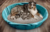 Pet Parents Washable Round Whelping Pads (2 Pack) of 36" Circle, Waterproof Reusable Dog Training Pads, Tan & Grey