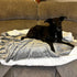 Kritter Planet Waterproof Small Dog Blanket, Soft Washable Furniture Protector, Reversible Sherpa Fleece Couch Cover