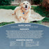 Annamaet Grain-Free Re-Juvenate Senior Dry Dog Food, Fresh Silver Carp & Turkey, 5-lb Bag, Brown