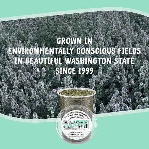 from The Field Fine Ground Stalkless Catnip, Premium USA-Grown, 6 oz Resealable Tub, Non-Toxic