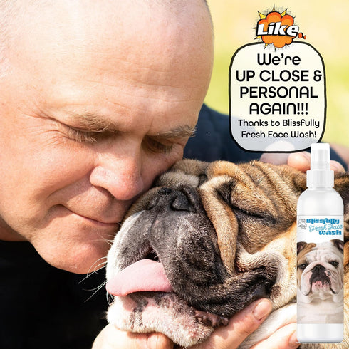 The Blissful Dog 4-Ounce Blissfully Fresh Face Wash for Bulldog, Cleans Facial Folds and Wrinkles