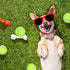50 Packs Dog Mini Tennis Balls, Training Pet Tennis Toys Yellow Ball for Large Medium Small Dogs