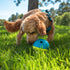 1 4.8" Outward Hound by Nina Ottosson Treat Tumble Interactive Food-Dispensing Dog Puzzle Ball, Level Beginner, Small