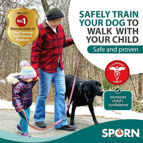 Double Handle Heavy Duty Dog Leash, Built-in Elastic, Reflective Stitching for High Visibility, Pink