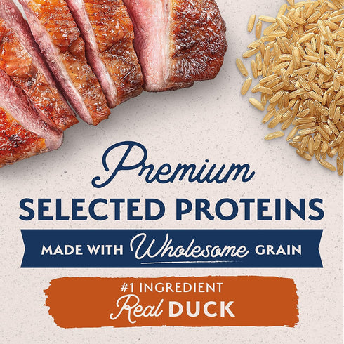 Natural Balance Limited Ingredient Adult Dry Dog Food, Reserve Duck & Brown Rice Recipe, 12 Pound