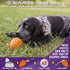 Chew King Premium Treat Dog Toy, Extremely Durable Natural Rubber, Bacon Flavored, Medium Orange