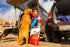 Nulo Frontrunner Dry Dog Food for Adult Dogs - Grain Inclusive Recipe with Beef, Barley, & Lamb for Lean Muscles