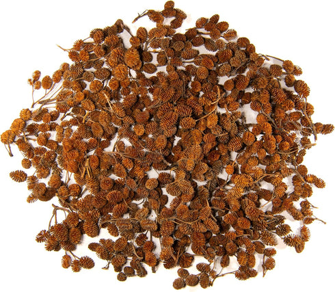 Generic 250+ Handpicked Alder Cones from Alaska - Natural Biofilm Source & Aquarium