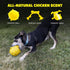 Playology Puppy Dog Ball Toys - Sensory Development Chew Toys with Squeaker for Puppies 8-16 Weeks (Up to 60 lbs)