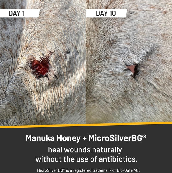 2oz Absorbine Silver Honey Rapid Wound Repair Ointment Tube, Manuka Honey + MicroSilver BG, Horse & Large Animal Wound