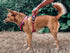 Tuff Pupper Anti Pull Heavy Duty Dog Harness, Easy Walk with Front & Back Leash Clips, Reflective Vest for Small,