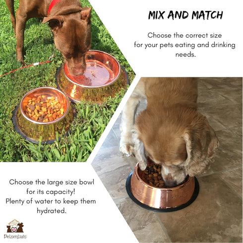Petsentials Non-Skid Stylish Food Bowl for Pets, Premium Grade Stainless Steel in Elegant Bronze