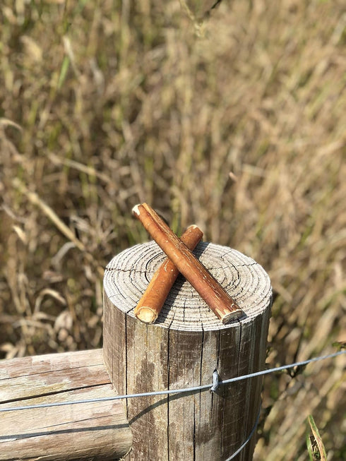 Bullysticks Organic 6" Bully Sticks for Dogs - All Natural Dog Treat, USDA Approved (10 Pack)