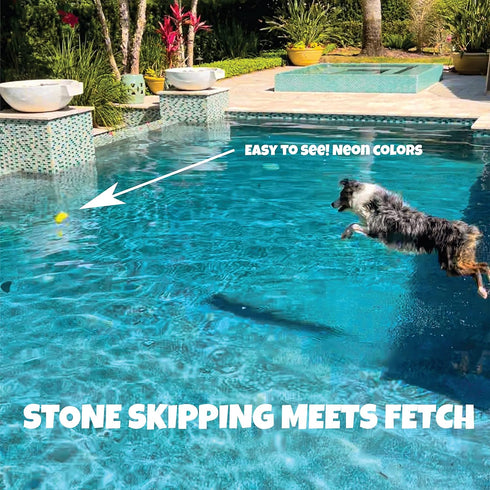 Skip NN' Fetch Small/Medium Floating Dog Toys Qty 2 | Fun for Swimming Pool, Lake, Beach, and Land | Perfect for