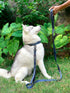 Tuff Pupper Heavy Duty Double Handle Dog Leash, Twist Locking Carabiner Clip, Reflective for Safe Night Walks