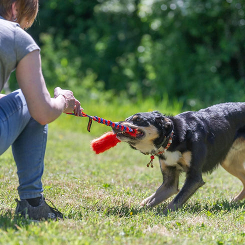 Bright Fauxtastic Dog Toy