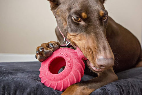 Jolly Pets Tuff Treader Dog Toy with Handle, 6 Inches, Red, Model JTR23, All Breed Sizes