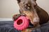 Jolly Pets Tuff Treader Dog Toy with Handle, 6 Inches, Red, Model JTR23, All Breed Sizes