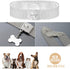 Dog Chain Collar Necklace, 18K White Gold Plated Stainless Steel with Bling Bling CZ Design, 30MM (Silver, 24")