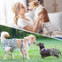 Langsprit Washable Female Dog Diapers - Doggie Reusable Diapers for Doggy Puppy Female in Period - Highly Absorbent Dog