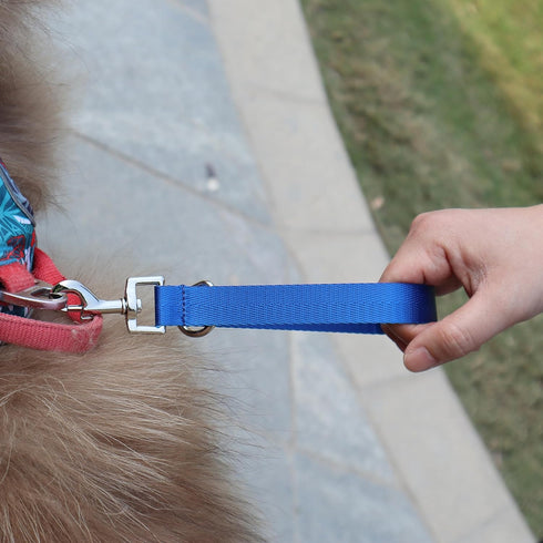 Traffic Dog Leash Dog Training Leash Pet Dog Traffic Grab Handle Dog Grab Tab Training Tab (green & blue)
