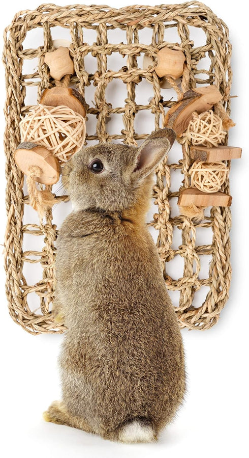 andwe Seagrass Protector Mat with Toys for Rabbit, Bunny, Chinchilla, Guinea Pigs, 11 X 7.87-inch