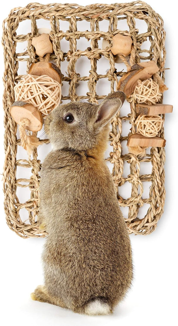 andwe Seagrass Protector Mat with Toys for Rabbit, Bunny, Chinchilla, Guinea Pigs, 11 X 7.87-inch