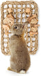 andwe Seagrass Protector Mat with Toys for Rabbit, Bunny, Chinchilla, Guinea Pigs, 11 X 7.87-inch