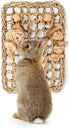 andwe Seagrass Protector Mat with Toys for Rabbit, Bunny, Chinchilla, Guinea Pigs, 11 X 7.87-inch