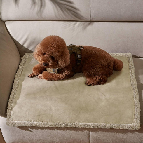 Kritter Planet Waterproof Puppy Blanket for Small Dogs - Pee Proof Sherpa Fleece Cover for Couch & Bed Protector