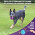 Chew King Fetch Balls, Extremely Durable Natural Rubber Toy, 3 inch Balls (CM-0263-CS01), 3 Count (Pack of 1)