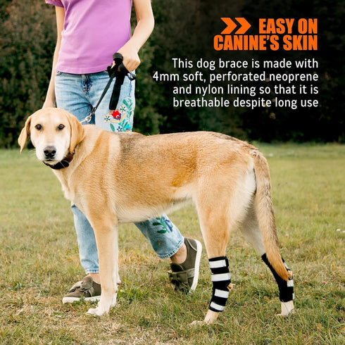 NeoAlly Rear Leg Hock Brace for Large Dogs, Metal Spring Strips for Hock & Ankle Support, Medium Size