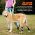 NeoAlly Rear Leg Hock Brace for Large Dogs, Metal Spring Strips for Hock & Ankle Support, Medium Size