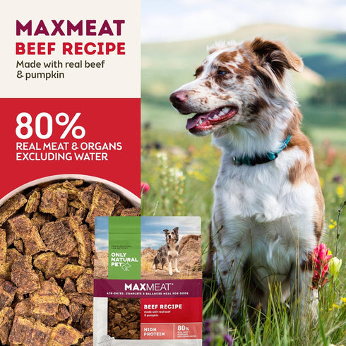 Only Natural Pet MaxMeat Holistic Air Dried Dry Dog Food, All Natural, High Protein, Grain Free, Beef with Pumpkin &