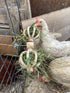Spinning Feeder Ball Toy for Chickens, Food Holder for Backyard Coops, Enrichment Hay Ball, Gift for Chicken Keepers