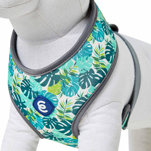 Blueberry Pet Essentials Soft & Comfy Dog Harness Vest, Adjustable Medium, Chest Girth 19.5" - 26" for Bahamas Vacation