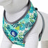 Blueberry Pet Essentials Soft & Comfy Dog Harness Vest, Adjustable Medium, Chest Girth 19.5" - 26" for Bahamas Vacation