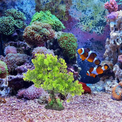 POPETPOP Artificial Aquarium Plant, Plastic Water Plant Tree for Fish Tank Bonsai Ornament and Decor