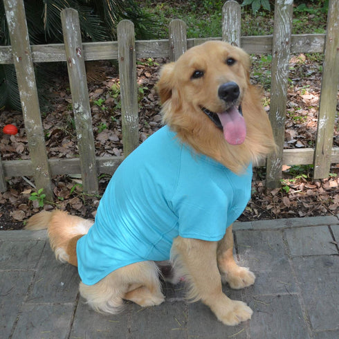 Lovelonglong Pet Clothing Dog Costumes Basic Blank T-Shirt Tee Shirts for Medium Dogs, Turquoise, XXL